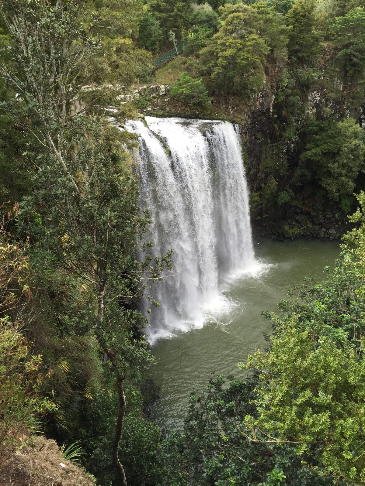 Waterfall dropping through green New Zealand bush